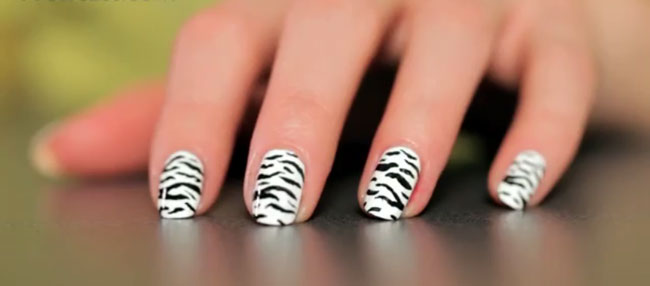 Zebra Print Nail Art Step By Step