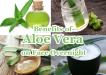 Aloe Vera is a medicinal plant, which is applied both internally and externally. Find the best Benefits of Aloe Vera on the Face Overnight. Face Care Tips 2023/ 2024.